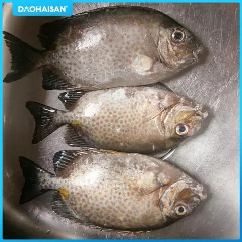 Cách Nấu Canh Cá Thơm Cà Chua Đậm Đà, Thơm Ngon Chuẩn Vị Cách Nấu Canh Cá Thơm Cà Chua Đậm Đà, Thơm Ngon Chuẩn Vị