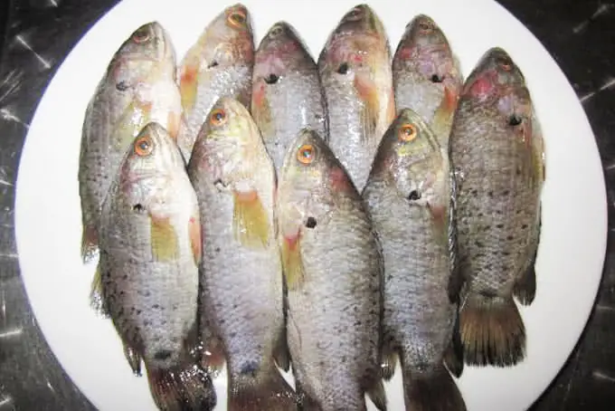 Cách Nấu Canh Cải Cá Rô Đồng Thơm Ngon, Bổ Dưỡng Chuẩn Vị Gia Đình