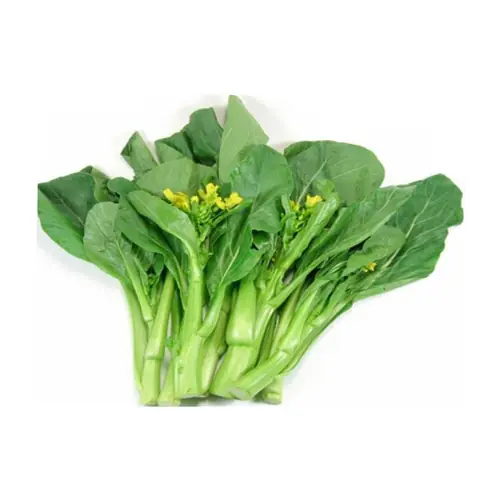 Cách Nấu Canh Cải Không Khó: 3 Công Thức Ngon Miệng