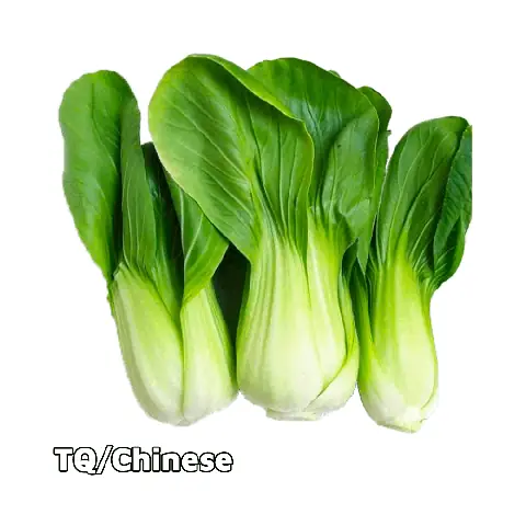 Cách Nấu Canh Cải Không Khó: 3 Công Thức Ngon Miệng