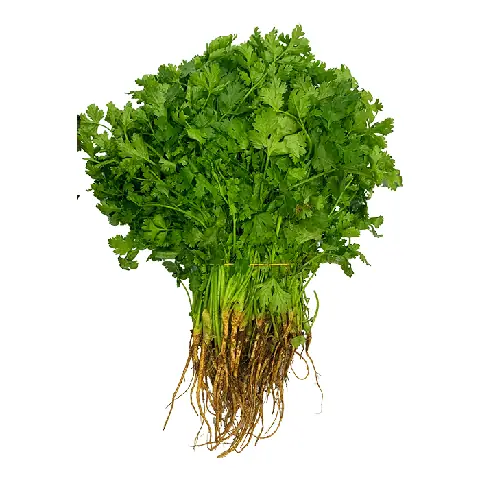 Cách Nấu Canh Cải Không Khó: 3 Công Thức Ngon Miệng