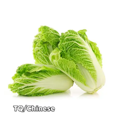 Cách Nấu Canh Cải Thịt Bằm Đậm Đà Chuẩn Vị Tại Nhà Cách Nấu Canh Cải Thịt Bằm Đậm Đà Chuẩn Vị Tại Nhà