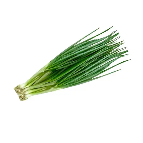 Cách Nấu Canh Cải Thịt Bằm Đậm Đà Chuẩn Vị Tại Nhà Cách Nấu Canh Cải Thịt Bằm Đậm Đà Chuẩn Vị Tại Nhà