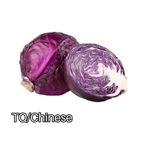 Cách Nấu Canh Cải Thịt Bằm Đậm Đà Chuẩn Vị Tại Nhà Cách Nấu Canh Cải Thịt Bằm Đậm Đà Chuẩn Vị Tại Nhà