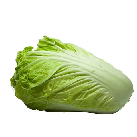 Cách Nấu Canh Cải Thịt Bằm Đậm Đà Chuẩn Vị Tại Nhà Cách Nấu Canh Cải Thịt Bằm Đậm Đà Chuẩn Vị Tại Nhà