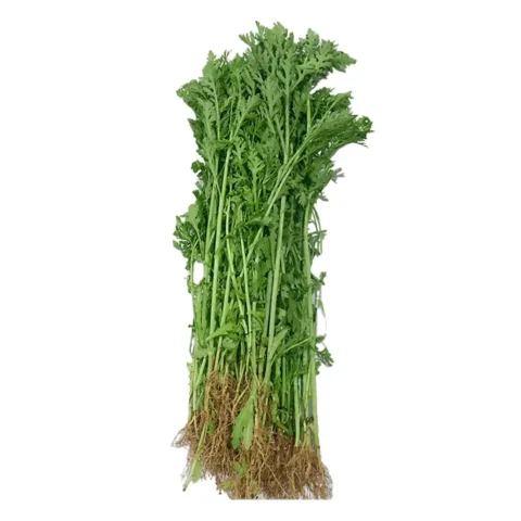 cách nấu canh cải xanh