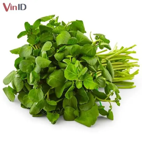 Cách Nấu Canh Cải Xoong Thanh Mát, Bổ Dưỡng Chuẩn Vị Gia Đình Cách Nấu Canh Cải Xoong Thanh Mát, Bổ Dưỡng Chuẩn Vị Gia Đình