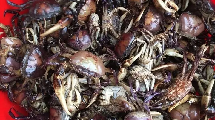 Hướng dẫn nấu canh cáy không bị hôi, ngọt nước chuẩn vị