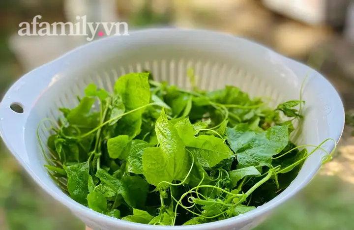 Cách Nấu Canh Cây Lạc Tiên Thanh Mát, Bổ Dưỡng Tại Nhà