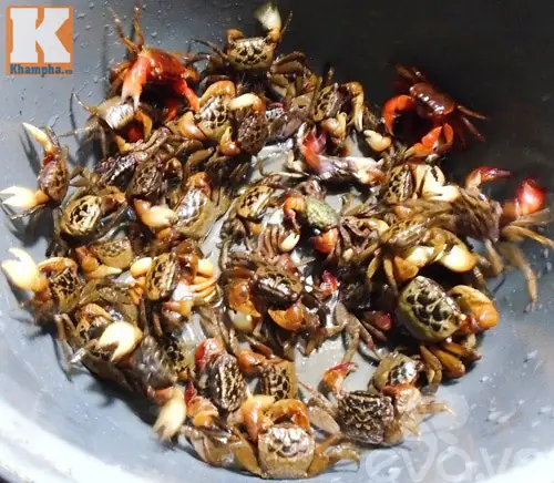 Cách Nấu Canh Cáy Rau Đay Thơm Ngon, Đậm Vị Đồng Quê