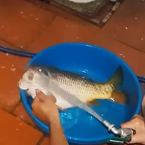 Cách Nấu Canh Chua Cá Chép Dọc Mùng Chuẩn Vị, Đậm Đà