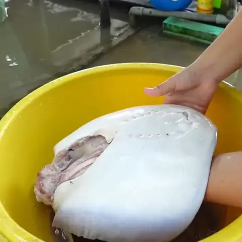 Cách Nấu Canh Chua Cá Đuối Cơm Mẻ Thơm Ngon Đậm Đà Chuẩn Vị Gia Đình Cách Nấu Canh Chua Cá Đuối Cơm Mẻ Thơm Ngon Đậm Đà Chuẩn Vị Gia Đình