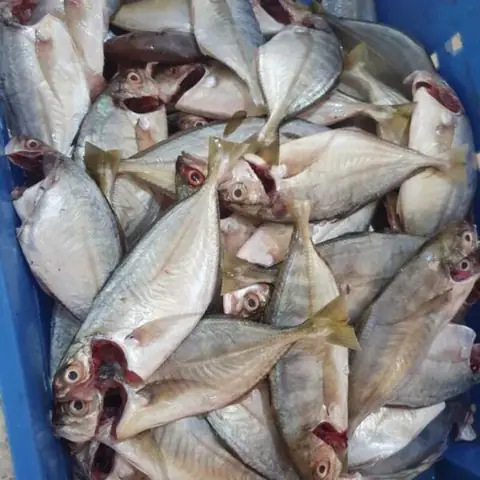 Cách nấu canh chua cá liệt thanh mát, bổ dưỡng tại nhà Cách nấu canh chua cá liệt thanh mát, bổ dưỡng tại nhà