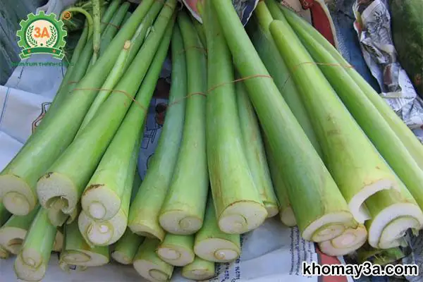 Cách Nấu Canh Chua Cá Lóc Miền Bắc Chuẩn Vị Tại Nhà