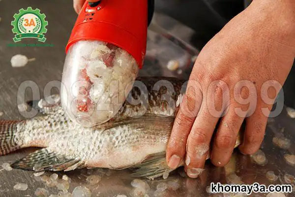 Cách Nấu Canh Chua Cá Lóc Miền Bắc Chuẩn Vị Tại Nhà