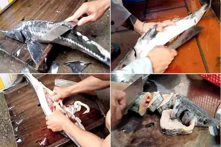 cách nấu canh chua cá tầm cách nấu canh chua cá tầm