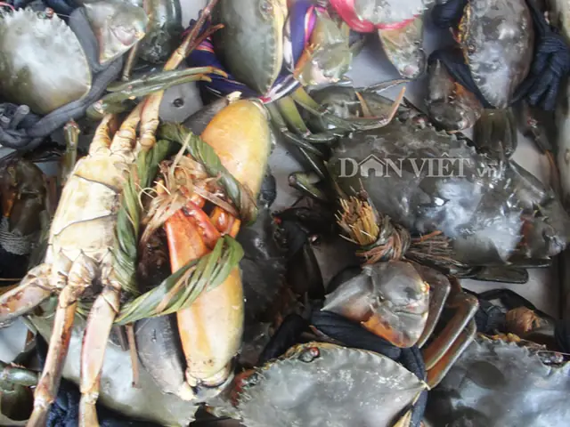 Me chua hoặc bần chín lược bỏ xác, hột rồi cho vào nồi nước luộc cua. Trước khi nhắc xuống nêm đường, bột ngọt, muối hột cho vừa nồi canh, múc ra tô ăn nóng...