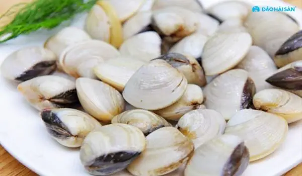 Hướng Dẫn Chi Tiết Cách Nấu Canh Chua Dứa Thơm Ngon Chuẩn Vị Hướng Dẫn Chi Tiết Cách Nấu Canh Chua Dứa Thơm Ngon Chuẩn Vị