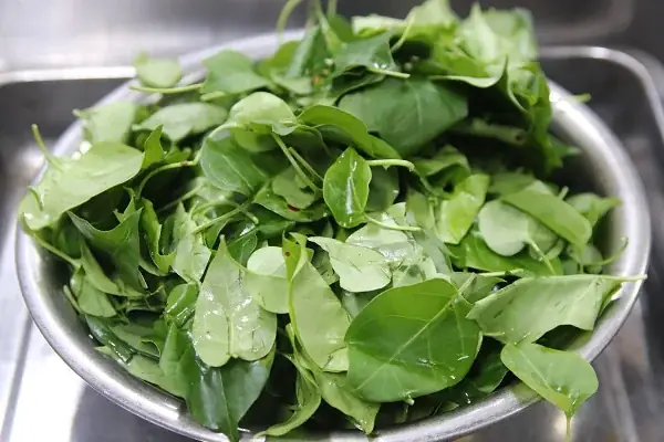 Làm sao để lá giang tạo vị chua thanh mà không bị chát?