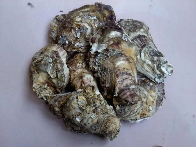 Hướng Dẫn Cách Nấu Canh Chua Hà Thơm Ngon, Thanh Mát Tại Nhà