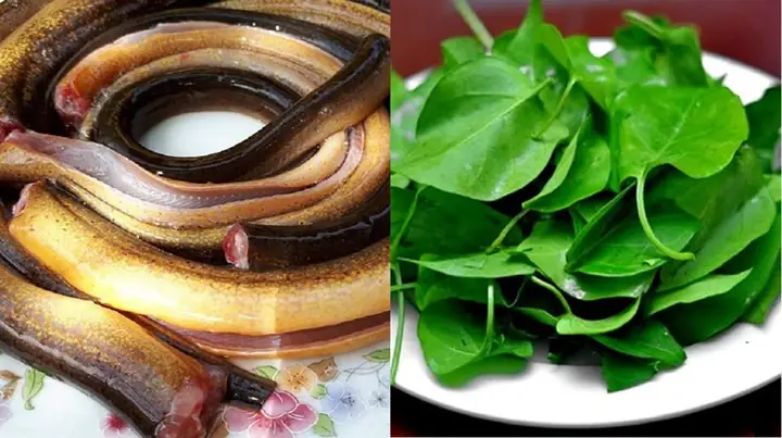 Cách Nấu Canh Chua Lươn Bắp Chuối Ngon Ngọt Chuẩn Vị Gia Đình