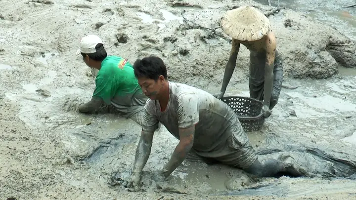 Cách Nấu Canh Chua Mận Ngon Chuẩn Vị, Đậm Đà Hấp Dẫn