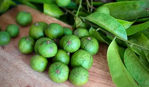 Chi tiết cách nấu canh chua miền Nam ngon đúng chuẩn Chi tiết cách nấu canh chua miền Nam ngon đúng chuẩn