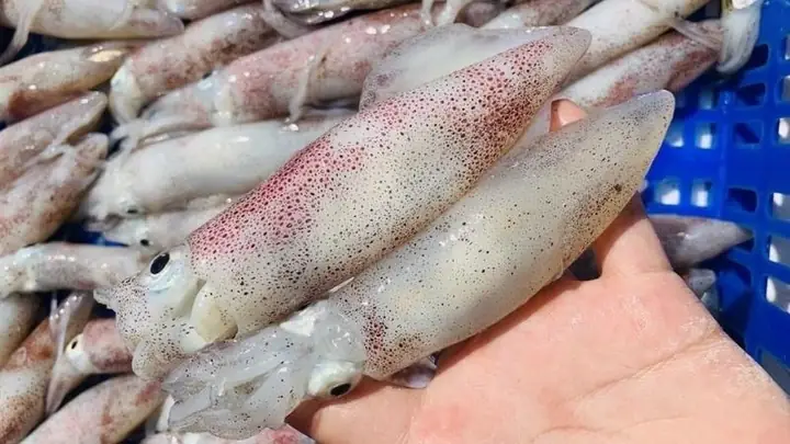 Hướng Dẫn Chi Tiết Cách Nấu Canh Chua Mực Thơm Ngon Chuẩn Vị