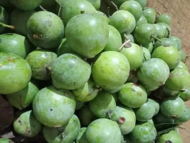 cách nấu canh chua quả dọc