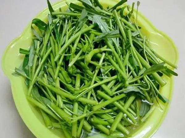 Cách Nấu Canh Chua Rau Muống Cá Thơm Ngon Đậm Đà Tại Nhà