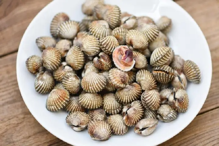 Cách Nấu Canh Chua Sò Huyết Ngon Chuẩn Vị Tại Nhà