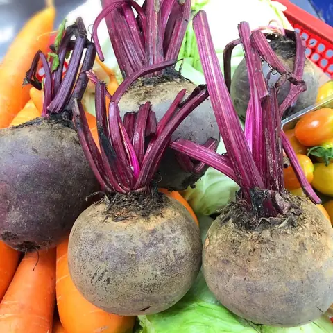 Cách Nấu Canh Củ Dền Hầm Xương Ngon Ngọt, Bổ Dưỡng Đậm Đà