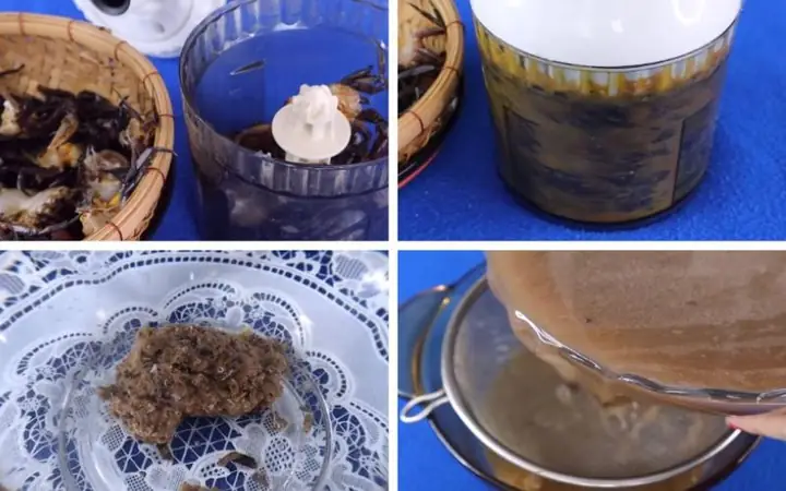 cách nấu canh cua đồng cách nấu canh cua đồng