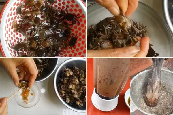 cách nấu canh cua mồng tơi