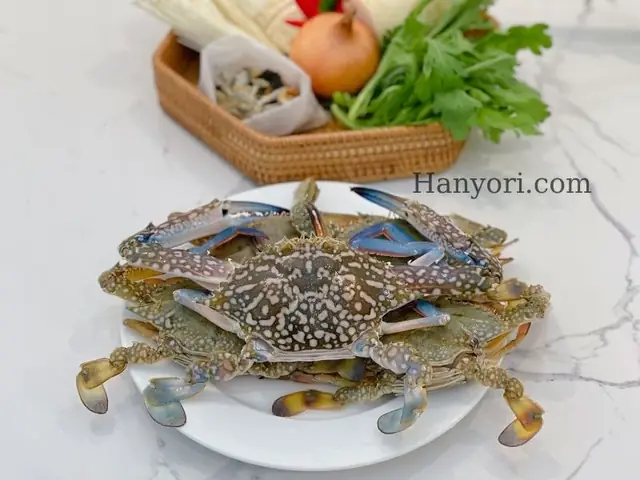 Cách Nấu Canh Ghẹ Hàn Quốc Ngon Chuẩn Vị Tại Nhà Chi Tiết Nhất Cách Nấu Canh Ghẹ Hàn Quốc Ngon Chuẩn Vị Tại Nhà Chi Tiết Nhất