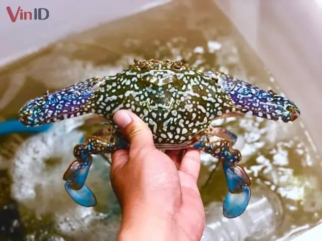 Cách Nấu Canh Ghẹ Xay Thơm Ngon, Đậm Đà Chuẩn Vị