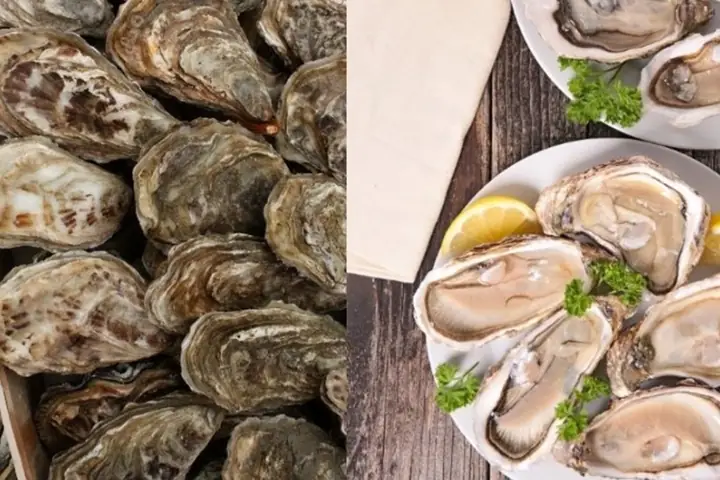 Cách Nấu Canh Hàu Mùng Thơm Ngon, Bổ Dưỡng Chuẩn Vị Nhà Làm