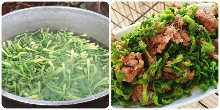 Cách Nấu Canh Hoa Đu Đủ Đực Đậm Đà, Chuẩn Vị Gia Đình