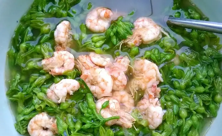 Hướng dẫn chế biến