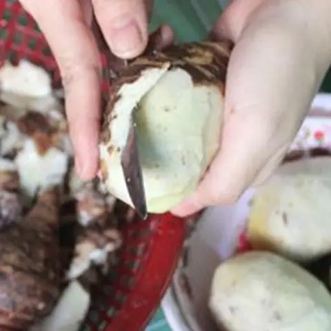 Hướng Dẫn Cách Nấu Canh Khoai Môn Thịt Bằm Chuẩn Vị Gia Đình