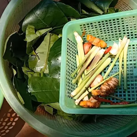 Sơ chế nguyên liệu Sơ chế nguyên liệu