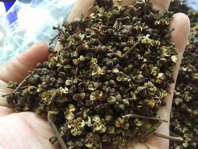 Hướng Dẫn Cách Nấu Canh Lá Đắng Với Cá Chuẩn Vị Vùng Cao