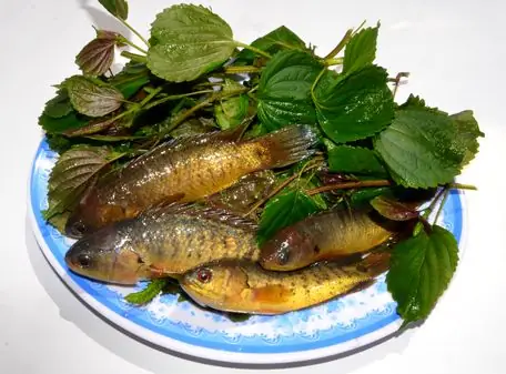 Cách nấu canh lá tía tô thơm ngon, bổ dưỡng tại nhà