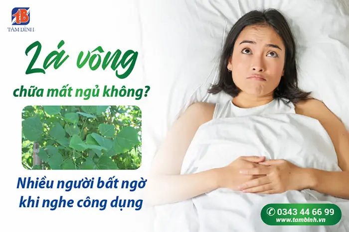 Cách Nấu Canh Lá Vông Ngon Mát, Giải Nhiệt Tại Nhà