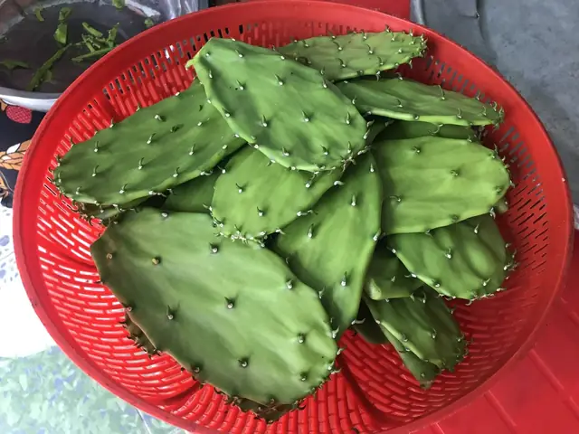 Cách Nấu Canh Lưỡi Rồng: Hướng Dẫn Chi Tiết Từ A Đến Z