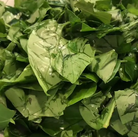 Cách Nấu Canh Lươn Bắp Chuối Ngon Ngọt, Chuẩn Vị Gia Đình Cách Nấu Canh Lươn Bắp Chuối Ngon Ngọt, Chuẩn Vị Gia Đình