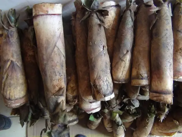 Hướng Dẫn Chi Tiết Cách Nấu Canh Măng Tươi Không Bị Đắng