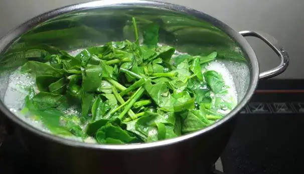 cách nấu canh mồng tơi cách nấu canh mồng tơi