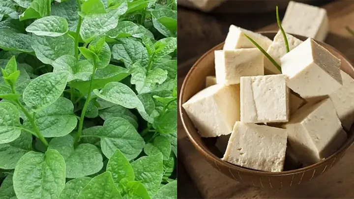 1.1. Nguyên liệu cần chuẩn bị 1.1. Nguyên liệu cần chuẩn bị