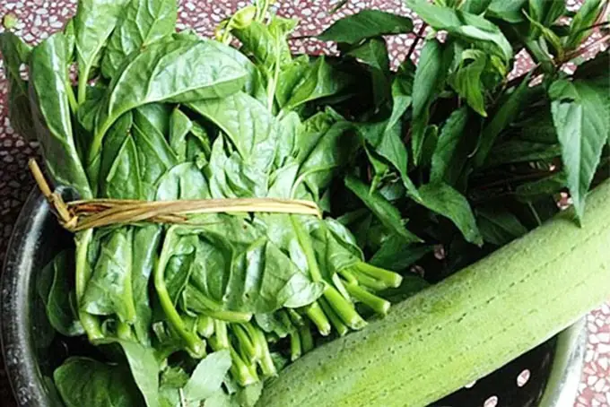 Hướng Dẫn Chi Tiết Cách Nấu Canh Mồng Tơi Rau Đay Thơm Ngon Chuẩn Vị